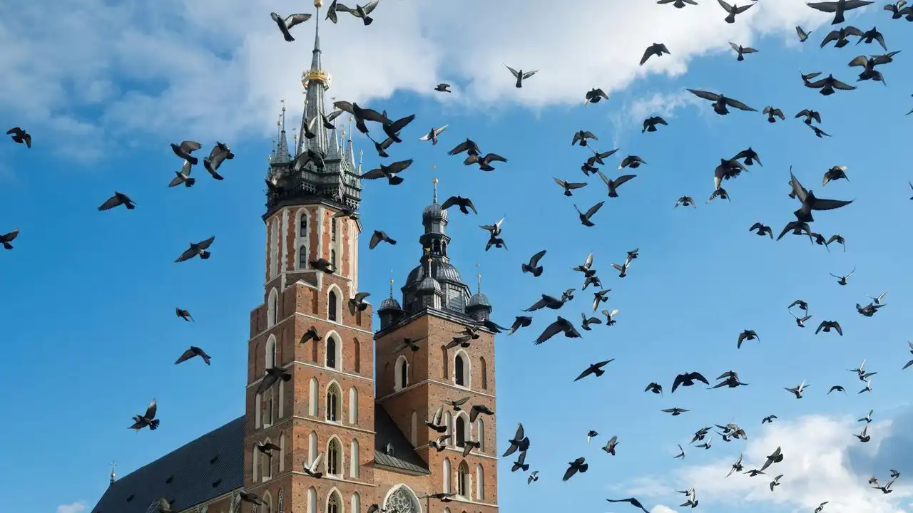 How Long Does It Take To Learn Polish?